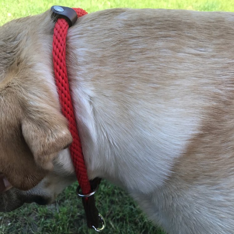 Leather Nylon Dog Collar Half Choke Chain Dogs Training Pinch Collars For Medium Large Pet Black Red Brown color