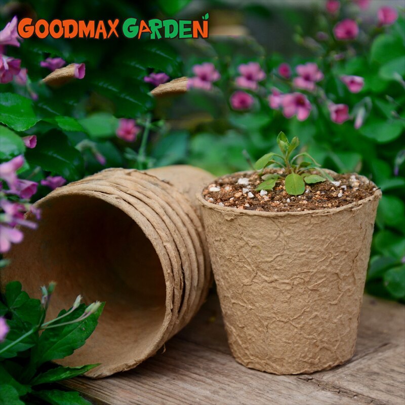Pulp Nursery Cup 8cm Round Pulp Cup and Biodegradable