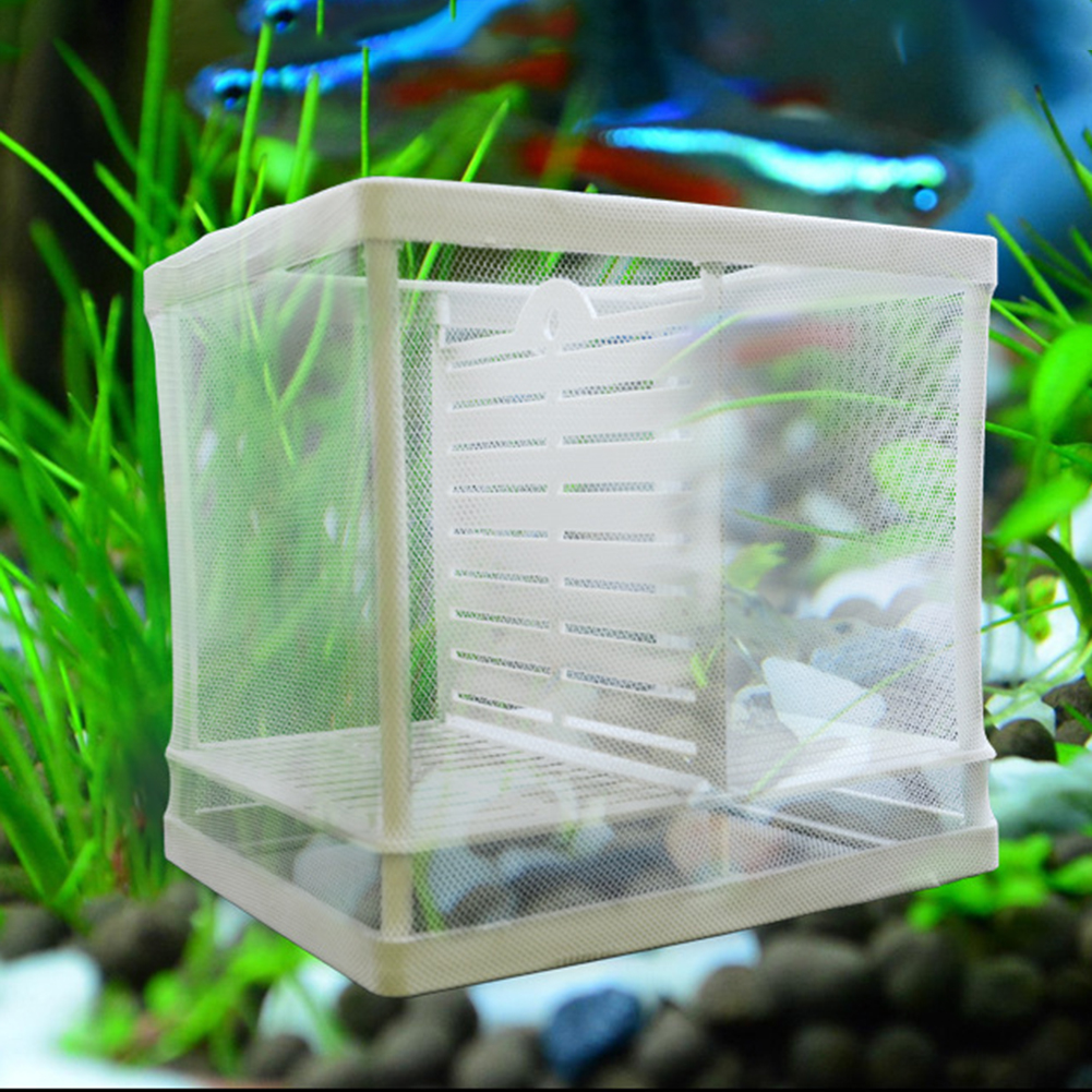 Aquarium Insulation Growing Box, Aquarium Small Fish Insulation Case Double Layer Insulation Incubator Floating Hatchery Transparent Aquarium Insulation Growing Box, Aquarium Small Fish Insulation Case Double Layer Insulation Incubator Floating Hatchery Transparent