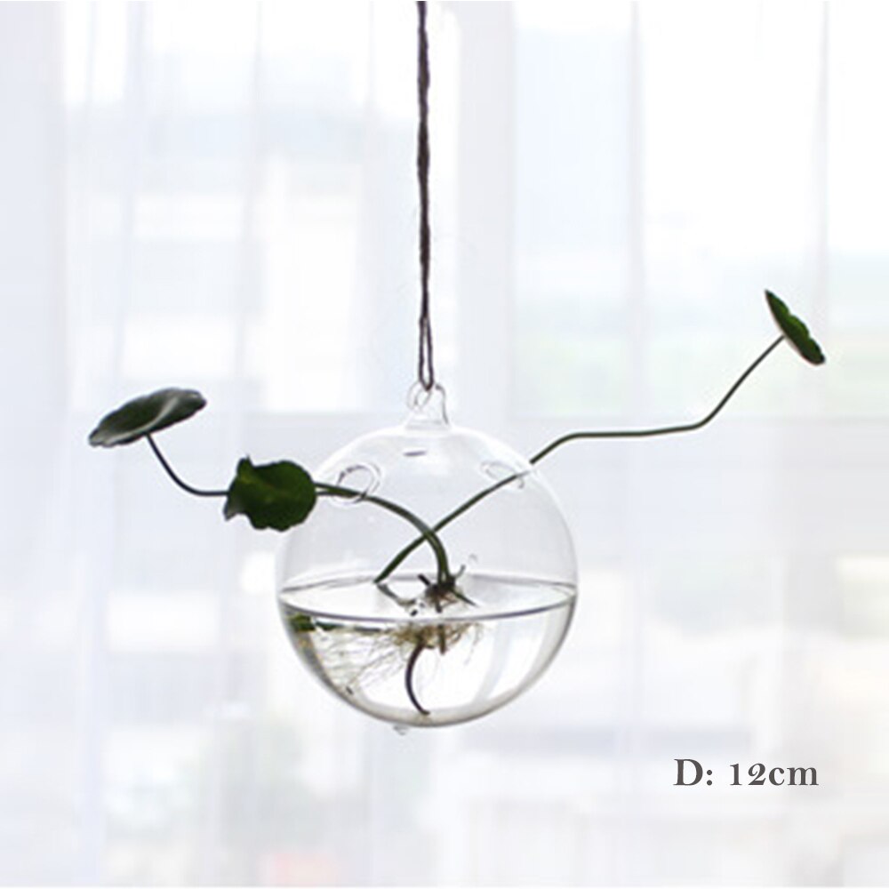 1Pcs Hanging Glass Vase Transparent Hydroponic Container Terrarium Flower Plant Pot Garden Home Wedding Decoration: 17
