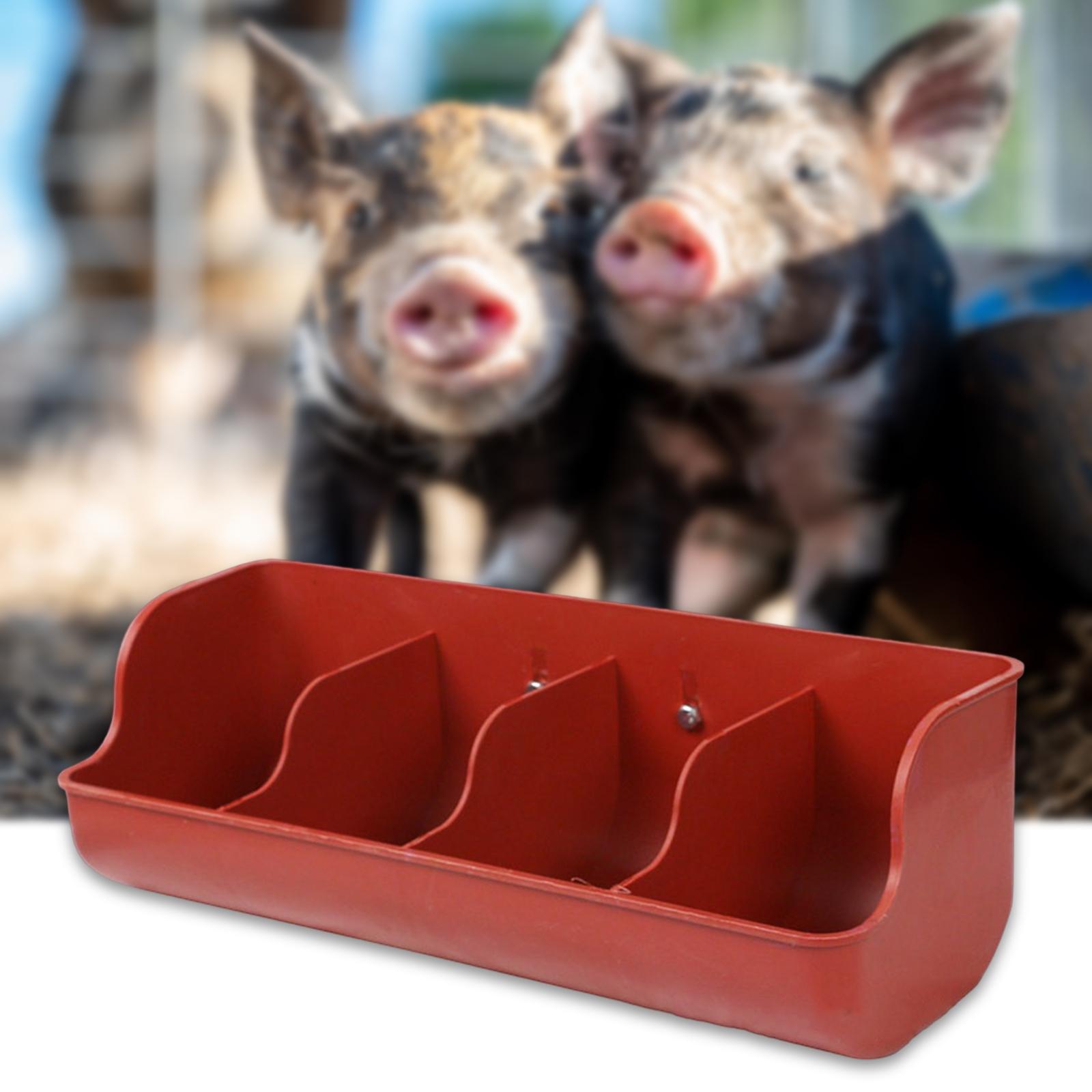 Ranura para forraje de lechones, suministros para animales de granja, plato de forraje para ganado, cuenco de alimentación, alimentador de alimentos, alimentador para cerdos, palomas, perros y cabras