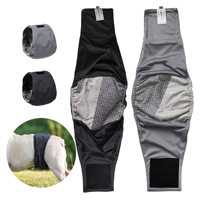 Pannolino per cani fisiologico riutilizzabile lavabile mutandine per cani maschili pantaloncini pannolini per cuccioli pantaloni sanitari avvolge scontrino intimo per cani