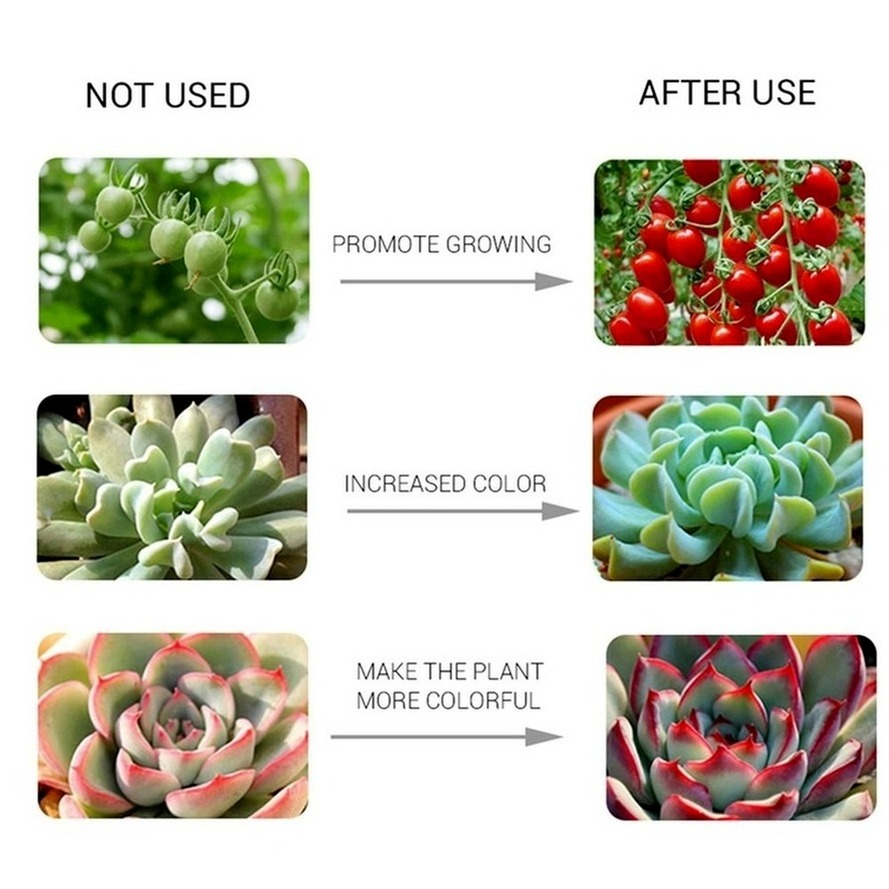 Phyto-lampe LED à puce COB, éclairage à spectre complet pour culture de plantes d'intérieur et floraison, ac 220V/110V 50W 30W 20W