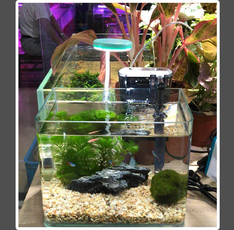 Mini nano led-lamp aquarium vis tank water planten groeien 6500k 3w usb opladen 360 graden hoek verstelbare pc computer opladen stroom