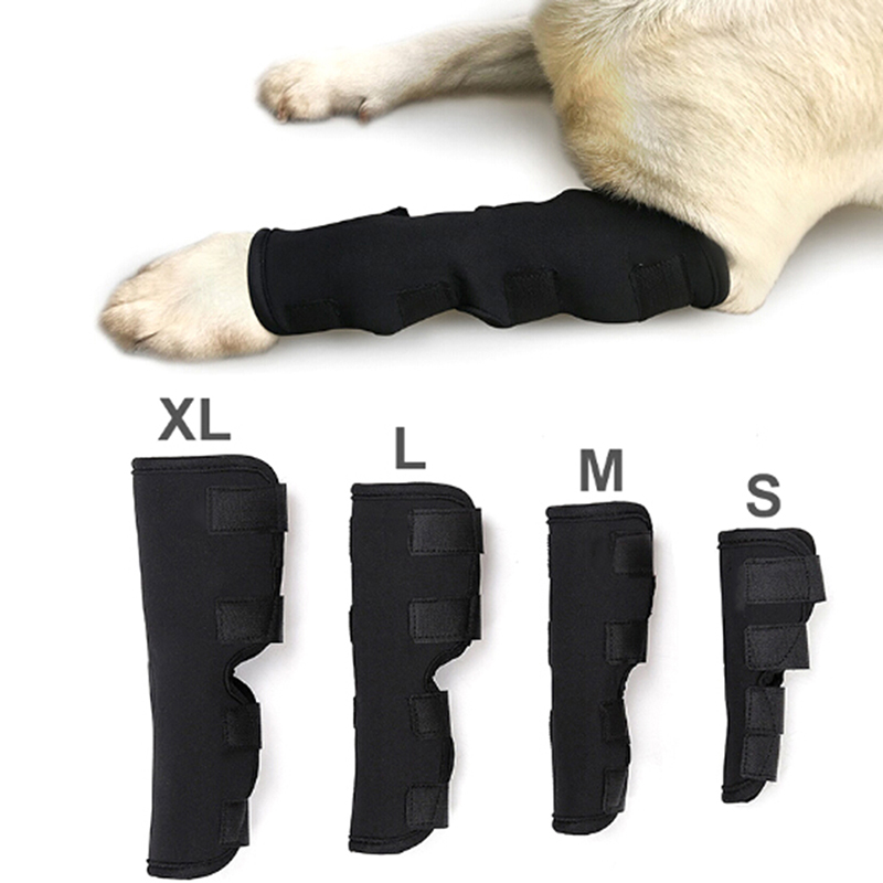 Rodillera protectora para pata trasera de perro, envoltura de corvejes, lesiones transpirables, para el cuidado de piernas de Mascota, 1 unidad,