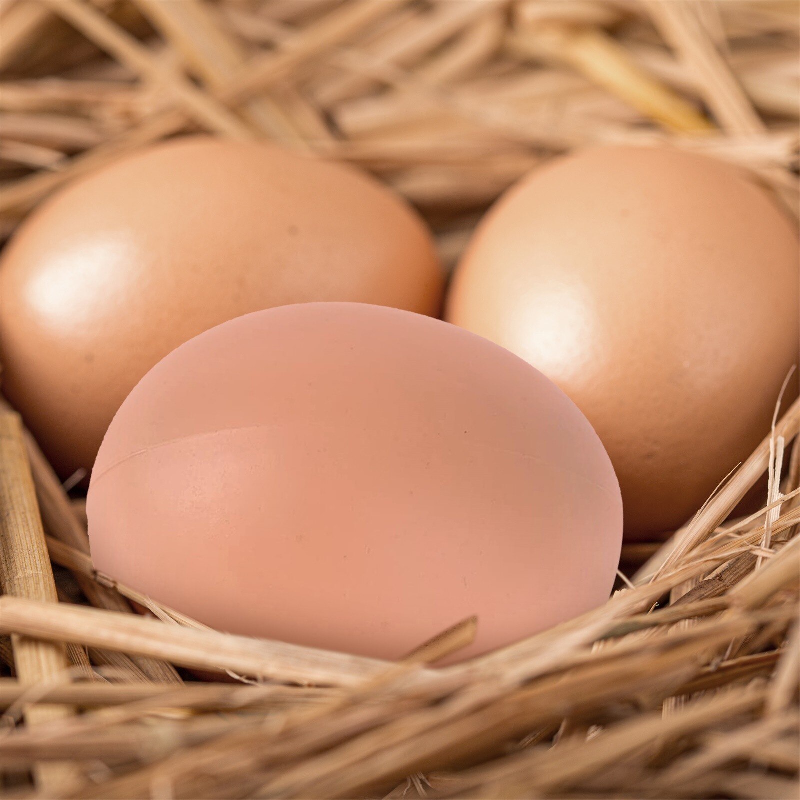 6 PIÈCES Oeuf À Couver Volaille Trappe Reproduction Simulation Faux En Plastique Artificiel Oeufs PEINTURE À LA MAIN Oeuf Plastique Aide Pondre Poule