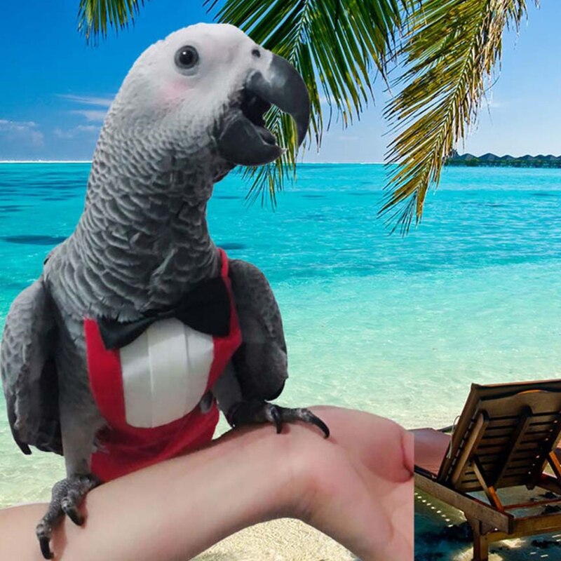 Cute Birds Flight Suit with Bow Tie Parrots Cute School Uniform Tuxedo Business Suit Pet Diapers Clothes for Party Prop