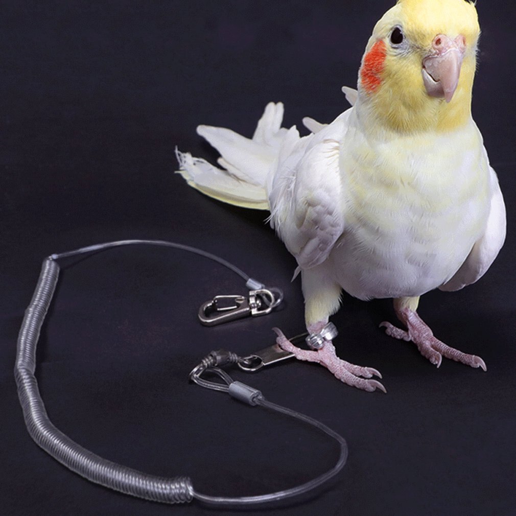 Alloy Leg Ring Flexible Bird Chain Belt Anti Bite Plastic Wire Rope Parrot Bird Outdoor Flight Training Rope