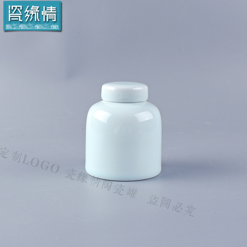 Urne commémorative pour animaux domestiques, pour chiens, chats, oiseaux, cendres de crémation, petits animaux, souris, lapins, poisson, cercueil pour petites pièces: Cyan-blue