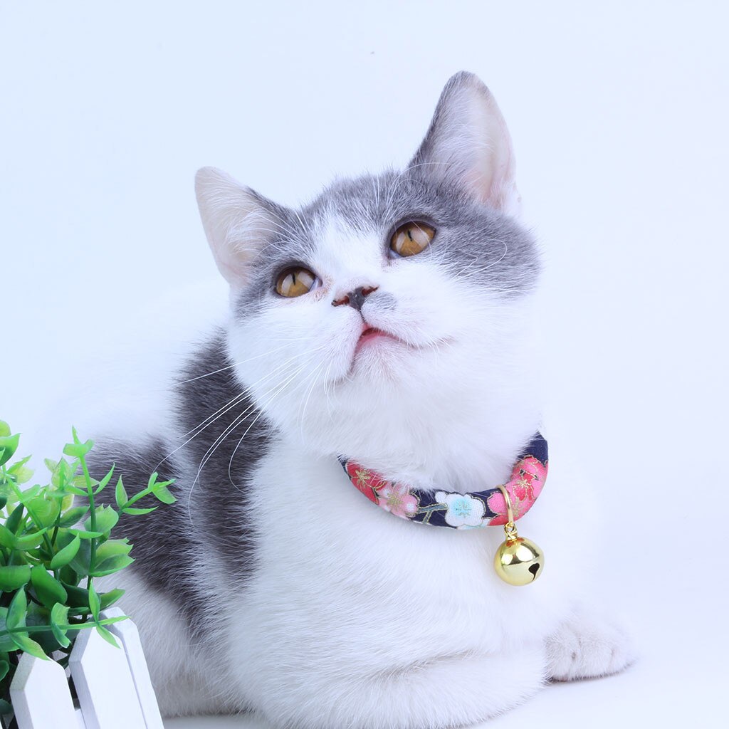 Kat Kraag Met Bel Hanger Verstelbare Cartoon Huisdier Bel Hanger Kraag Leuke Ketting Kraag Kleine Kat #0211y10