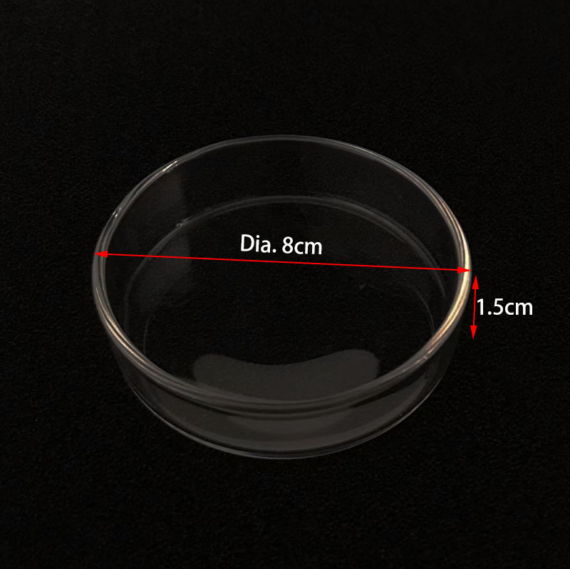 Transparent Aquarium Fish Tank Shrimp Food Feeding Circle Glass Feeder Floating Bottom Feeder Fish Shrimp Aquarium Accessories: WHITE