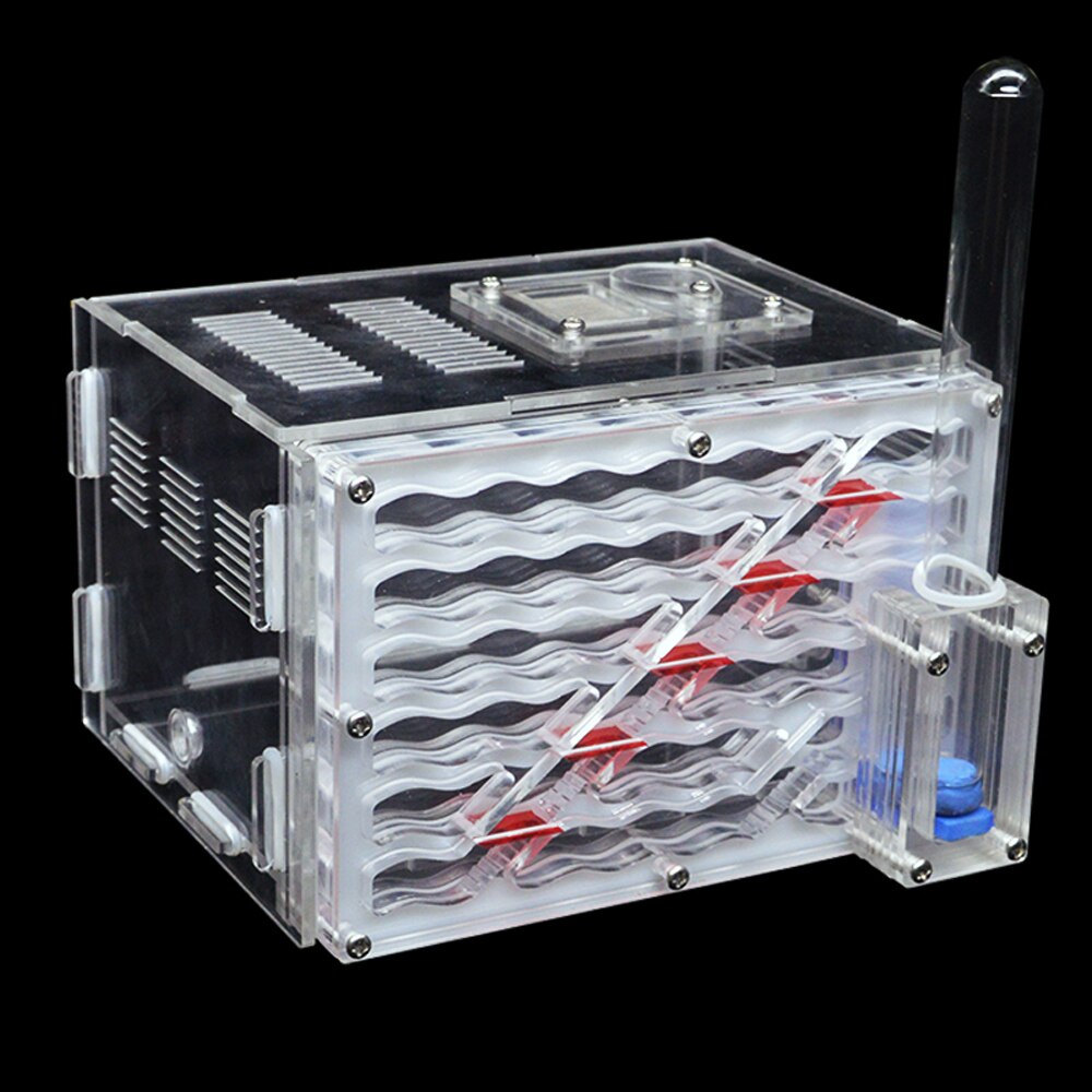 DIY Antgranery Moisture Feeding Area Acrylic Ant Farm Ants House Birthday