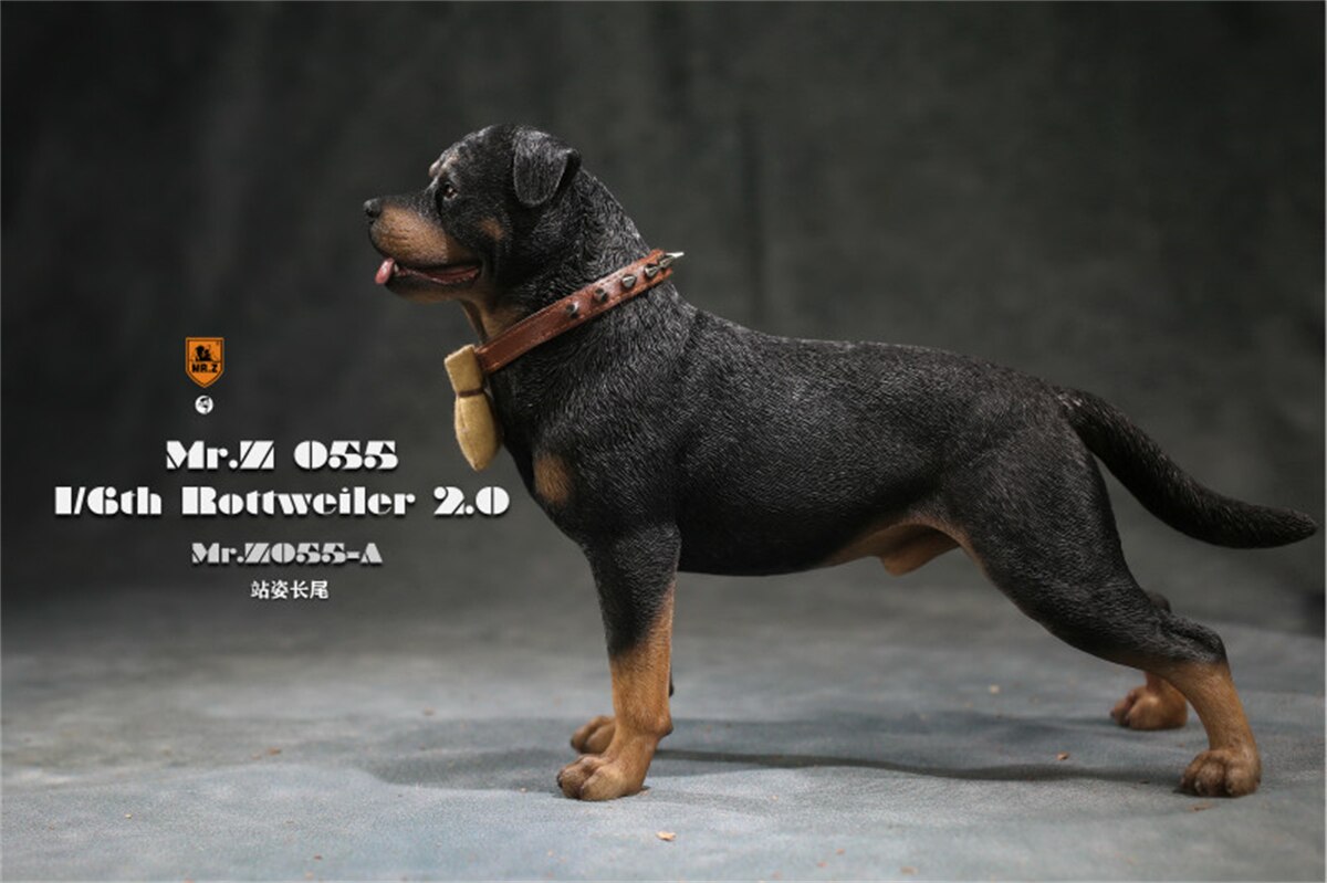 Mr.Z Studio 1:6 Rottweiler Figure Cute Police Pet Dog Animal Model Collector Decor Kid Resin Office Desktop Accessories: A