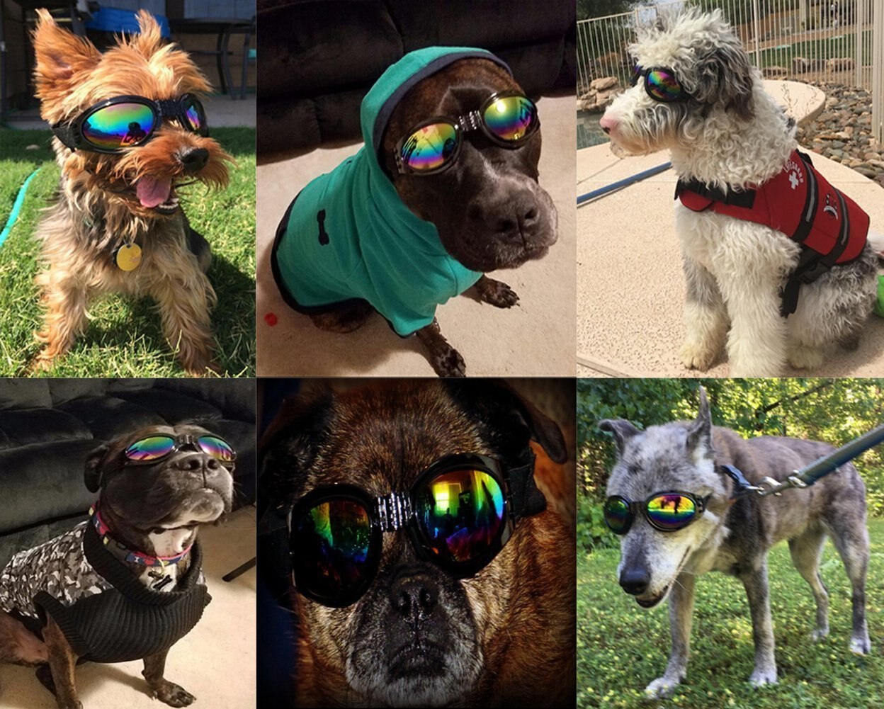 Gafas de sol para perro, productos para mascotas grandes, gafas para perros, accesorios para perros grandes,
