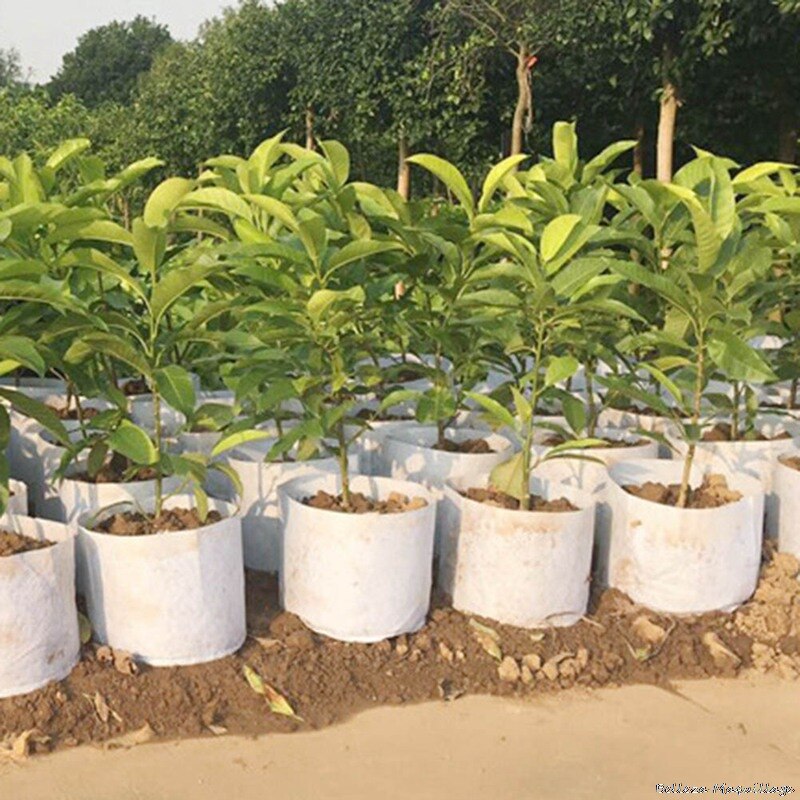 Different Sizes Biodegradable Non-woven Seedling Pots Eco-Friendly Planting Bags Nursery Bag Plant Grow Bags Fabric Pouch