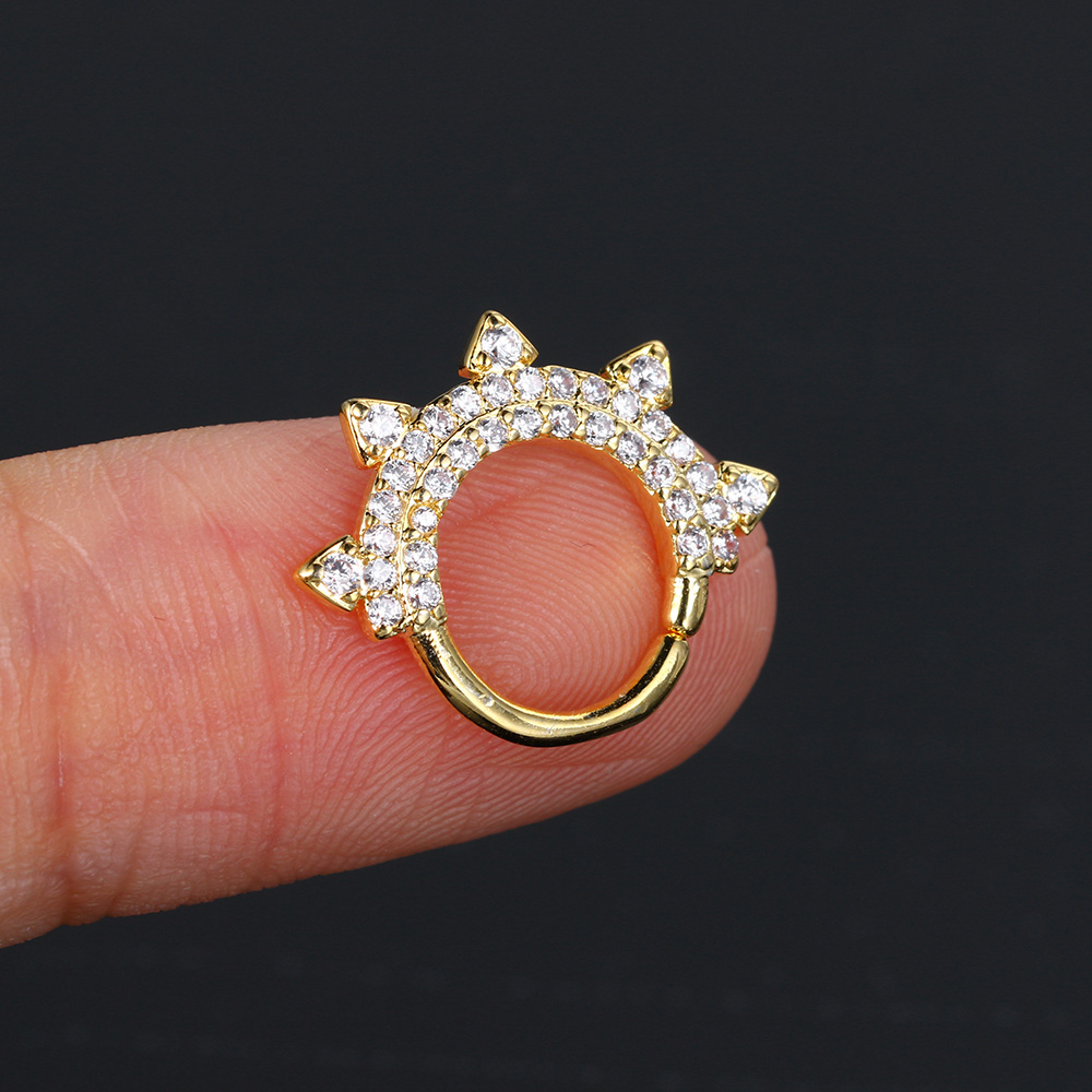 Zirconia Hoop Earring Oor Piercing 1PC Daith Tragus Helix Kwab Rook Hart Slang Kraakbeen Roestvrij Stalen Ketting Oorbel Sieraden