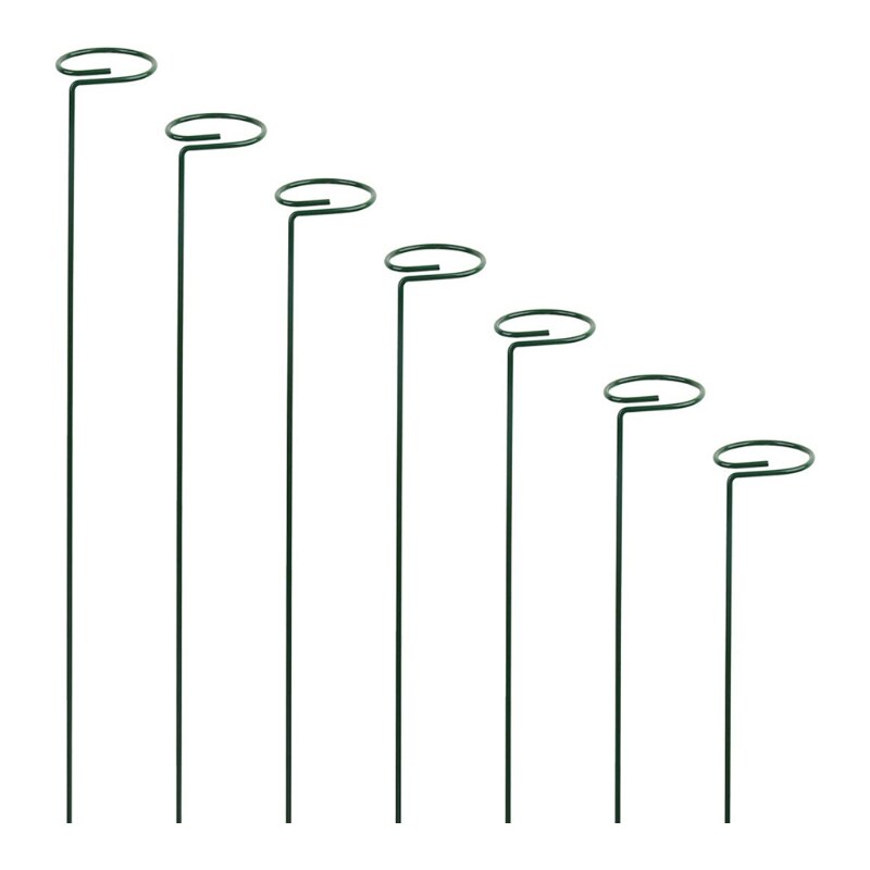 Garden Support Stake Ring Metal Garden Plant Supports Single Stem Shrub Holder for Plants Rose Flowers