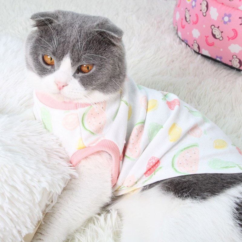 Soft Pet Cat Clothes for Small Cat Vest Summer Pets Clothing for Kitten Outfit Winter Pet Clothing for Cats Rabbit Cats Coats