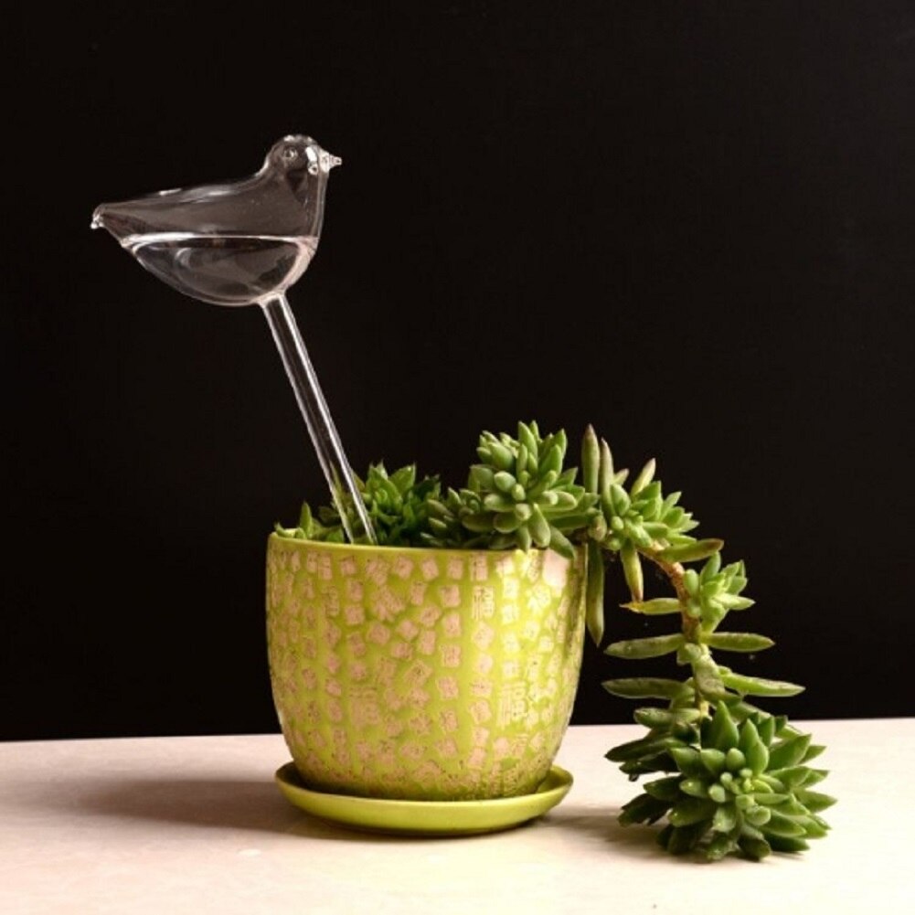 Alimentador automático de agua para plantas y flores, dispositivos de autorriego, alimentador de agua de vidrio transparente, forma de pájaro, 6 formas: bird