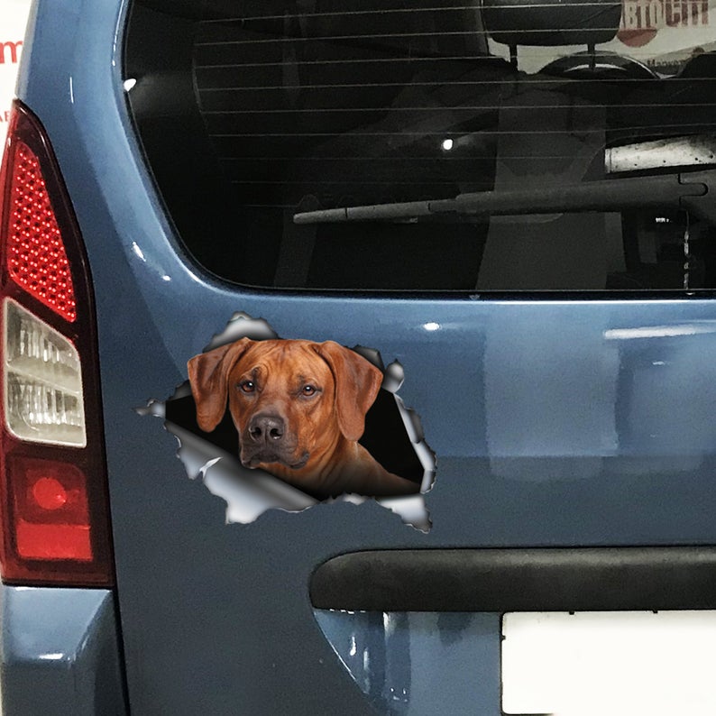 Adesivo Resistente Alle Intemperie – Rhodesian Ridgeback Rosa, 88x99mm, Sticker Impermeabile Per Auto E Oggetti