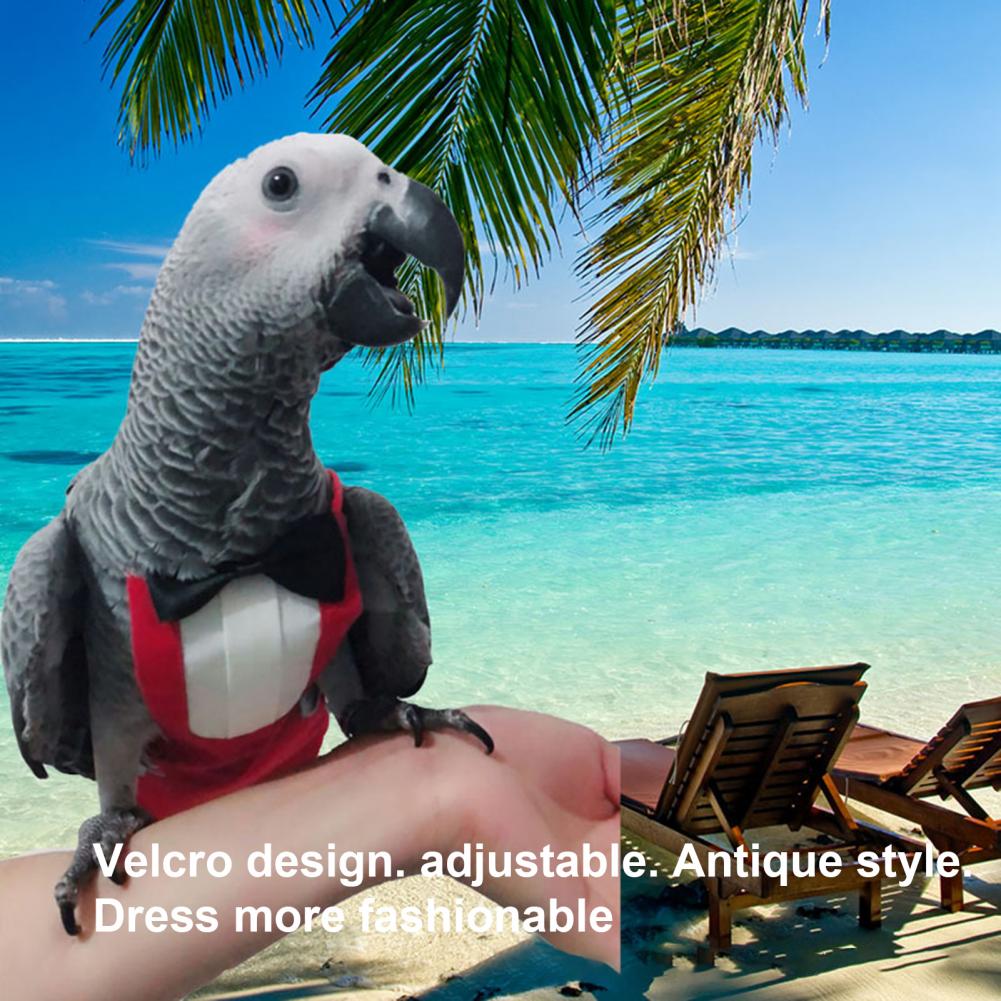 Lovely Parrot Flight Suit Nice-looking Dress-up Washable Parrot Bird Nappy Clothes