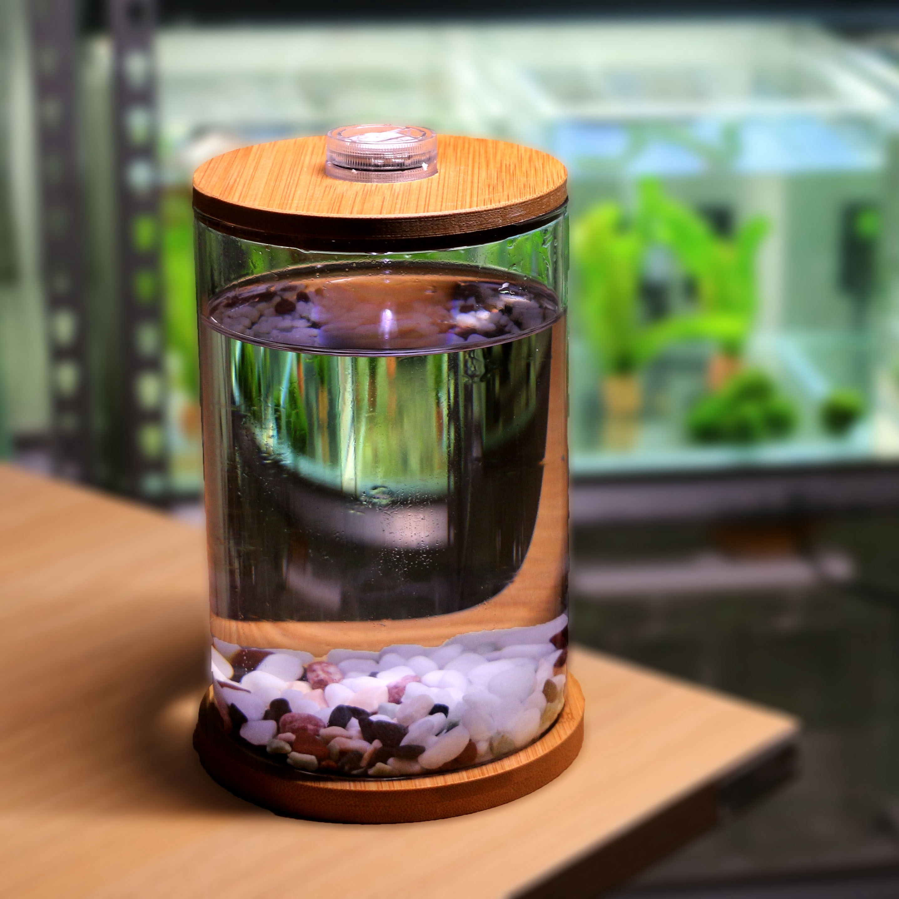 Novel and Strange Toy Miniature Glass Fish Tank DIY Ecology Bottle Desktop Micro-view Office Aquarium for Girl