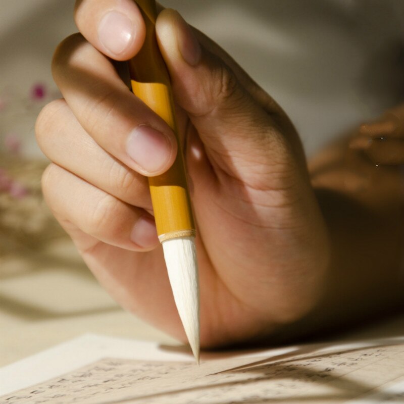 Chinese Calligraphy Pen Mulitple Hair Brush Pen with Box 3pcs/set Beginner Chinese Painting Calligraphy Brushes Tinta China