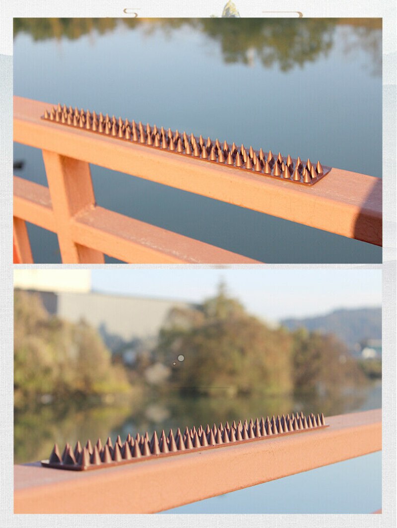 Anti-Vogel Stab Anti-Klimmen Nagels Installeren Split Handig Gebruik Voor Hekken Muren Ges Werpt Leuningen Richels ondersteuning