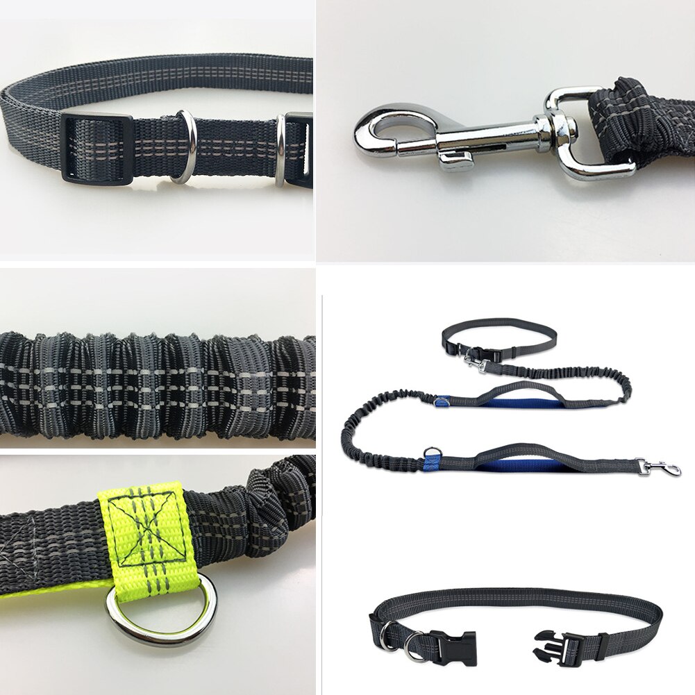 Reflekterende bånd trekktau kjæledyr hund løpebelte elastisk hender fritt jogging trekk hundebånd metall d-ring bånd