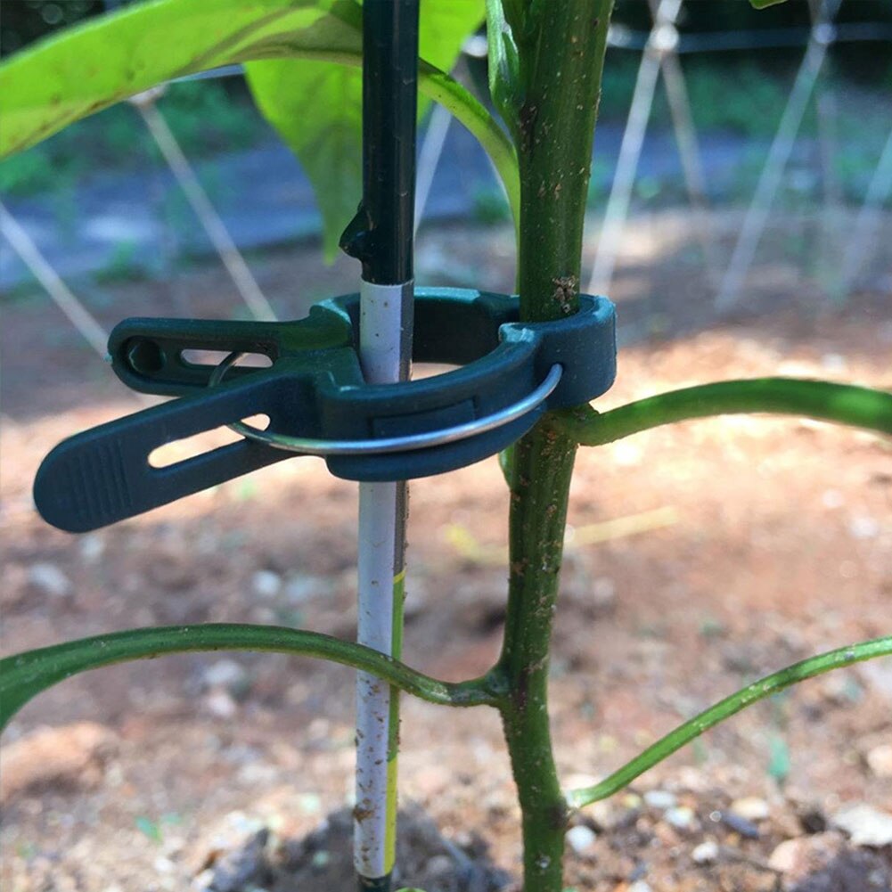 20 piezas jardinería de plantas Clip flor fija jardín planta conjunto con rizador jardinería Clip Injerto de plantas juego Clip conector de apoyo