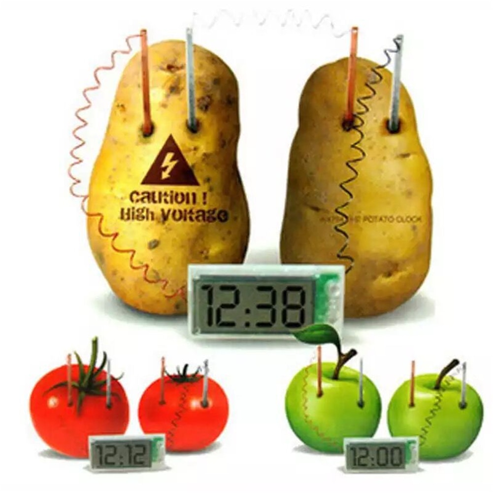 Pedagogisk potatis klocka timer miljöskydd diy-teknik liten produktion fysisk experimentutrustning