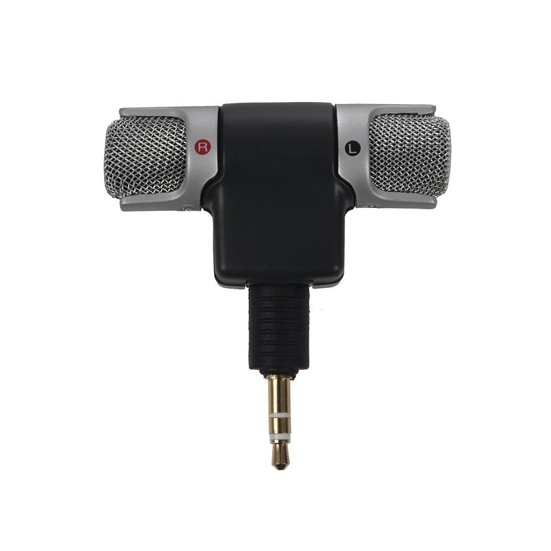 Portable Mini Mic Digital Stereo Microphone for Recorder,PC: Default Title