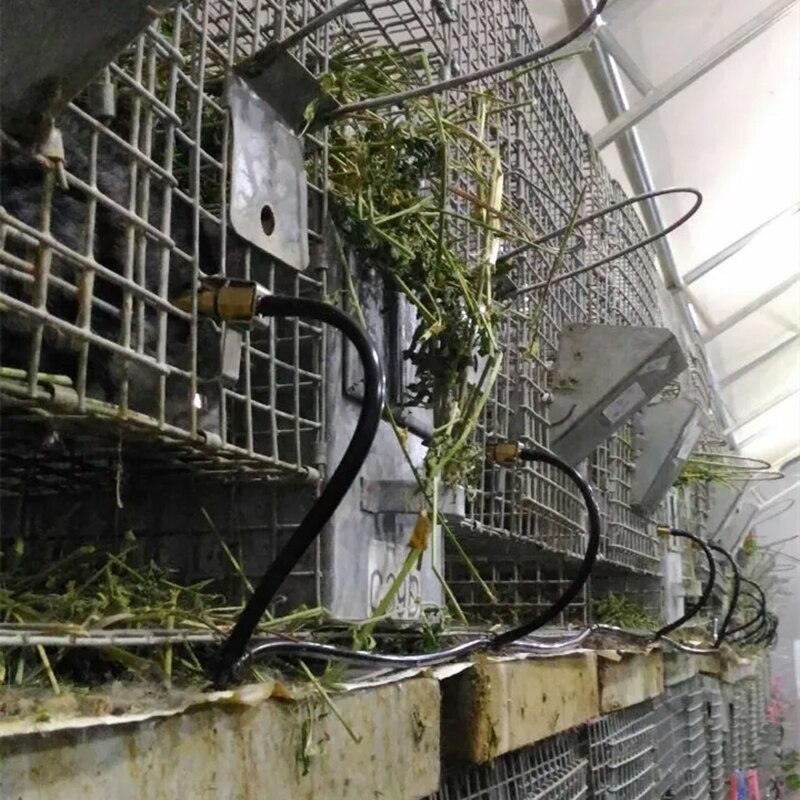 Rat Muis Water Drinknippel Automatische Dier Feeder Met Roestvrij Staal Kaart Pluimvee Apparatuur 10 Stks/partij