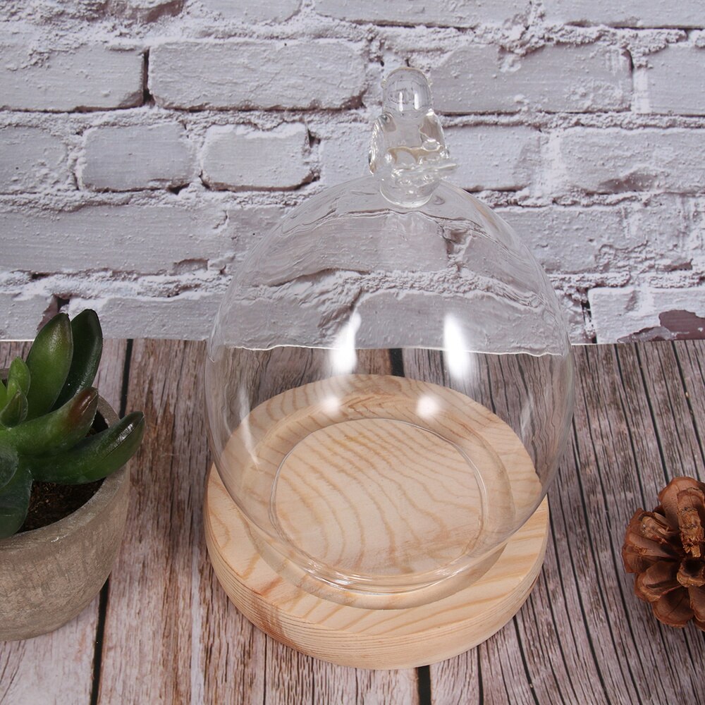 Dried Flower Display Glass Cover Preserved Flower Glass Cover DIY Transparent Glass Cover Loving Heart Glass Dome with Wood Base