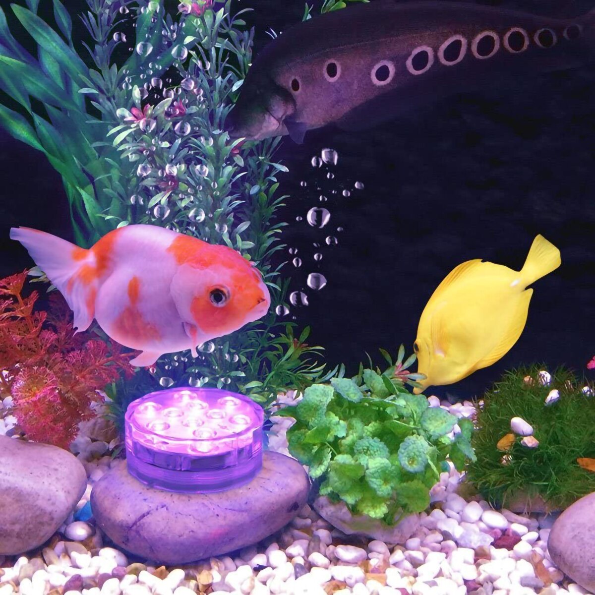 10 Led Remote Controlled Rgb Submersible Licht Waterdicht Vissen Onderwater Lamp Outdoor Zwembad Vijver Verlichting