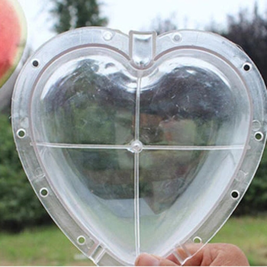 Estereotipo de crecimiento molde con forma de corazón sandía fruta manzana crecimiento molde sapodilla Pepino de soportar sol calor lluvia