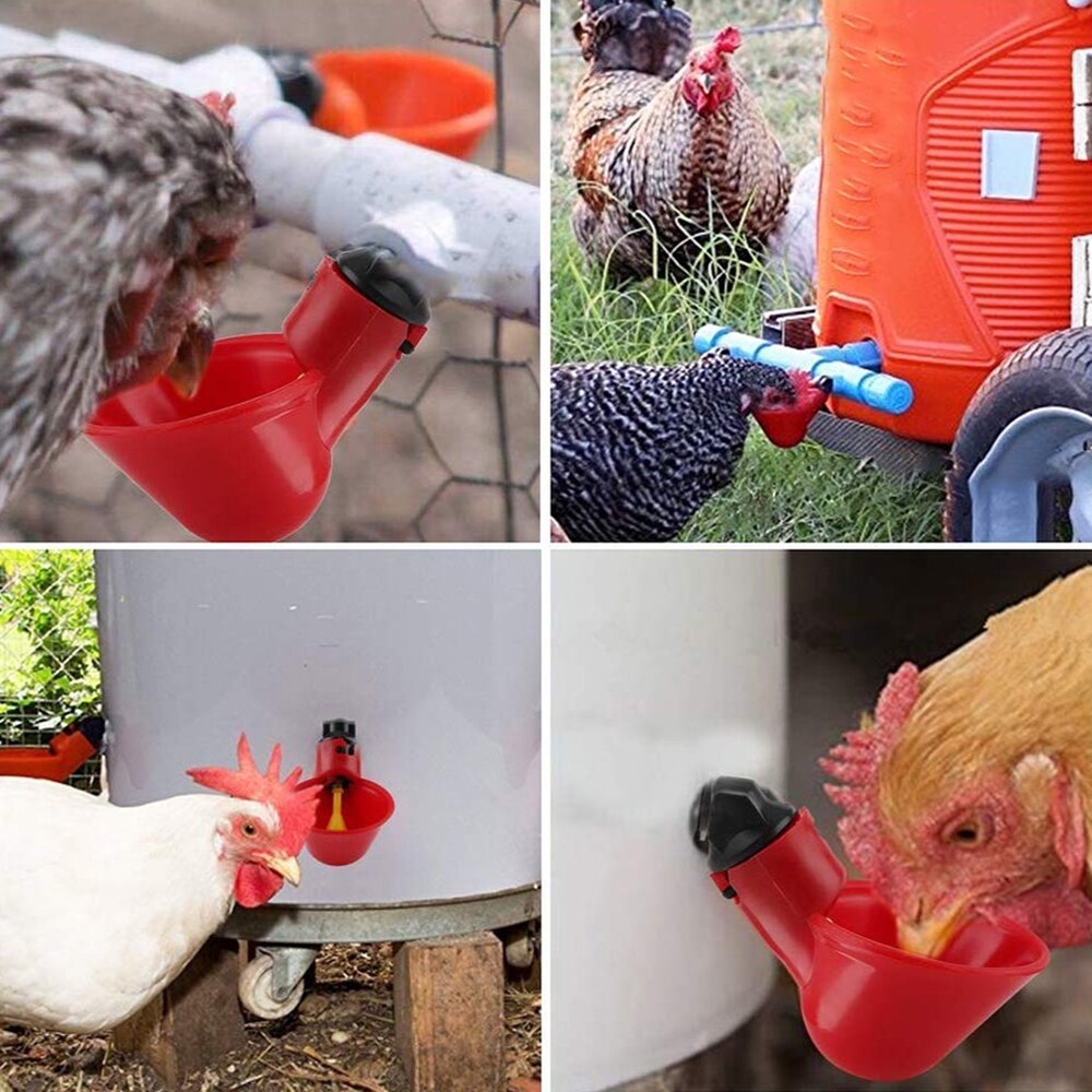 Automatic Poultry Livestock Drinking Cup Bird Feeding Equipment Chicken Flock Duck Bird Water Feeder Red and Blue
