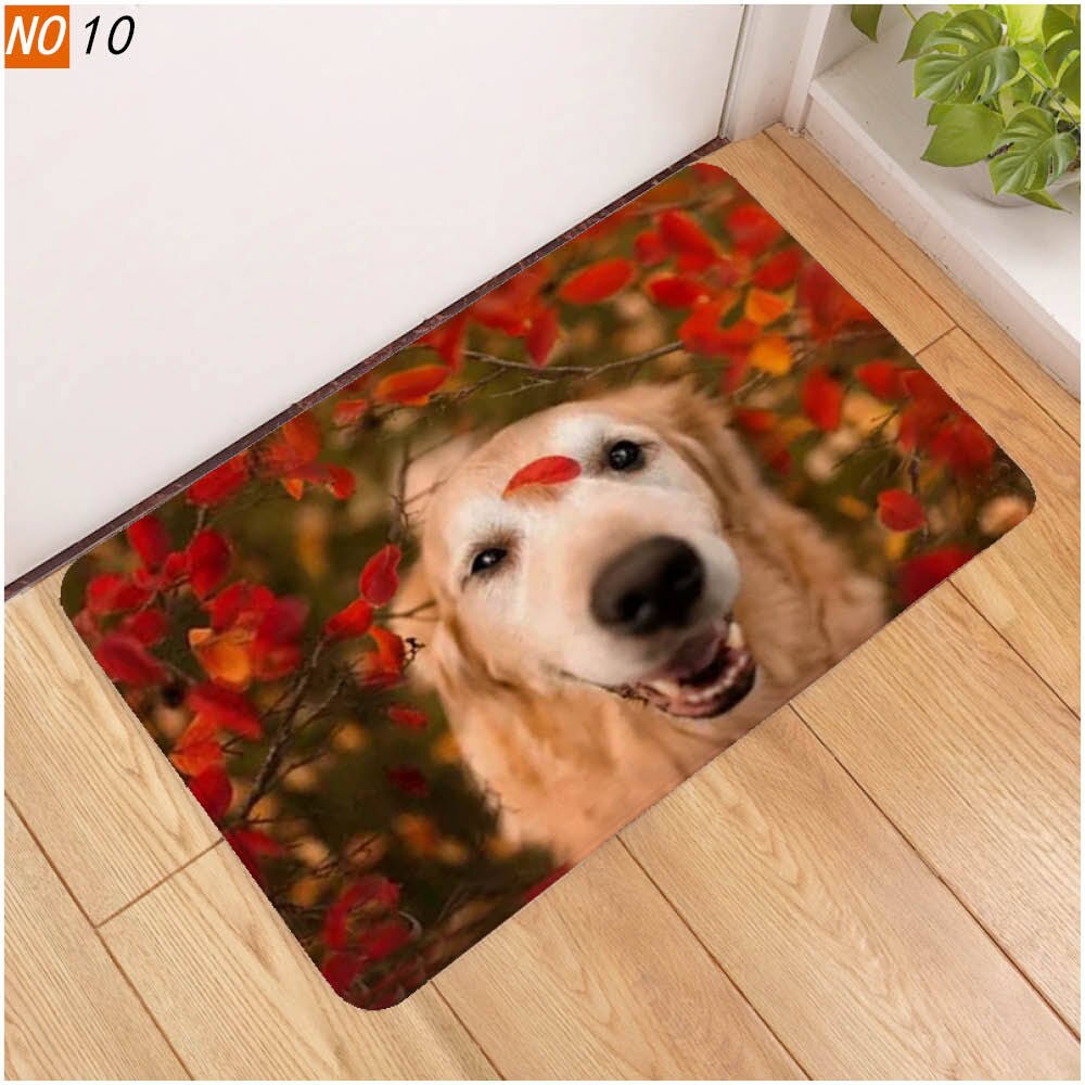40x60 door mat 3D cute pet dog printed rubber mat 3D animal mat: 1108-10 / 60x40cm