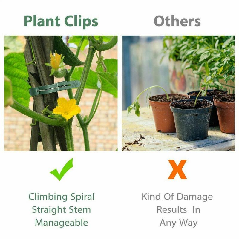 20x jardín planta Clip fijo tomate tallo orquídea soporte cultivo verduras flores atado hebilla abrazadera invernadero soporte