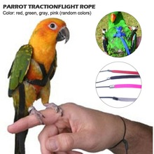 Tren de aves para mascotas, Correa colorida para loros y pájaros, arnés ajustable para exteriores, cuerda de entrenamiento, banda cruzada voladora, productos para mascotas, suministros para aves