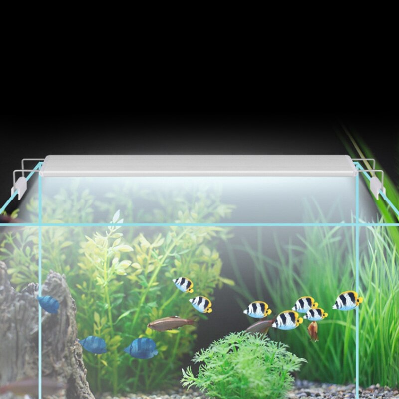 Aquarium Clip Licht Aquarium Led Frame Licht Aquarium Frame Verlichting Aquarium Frame Licht