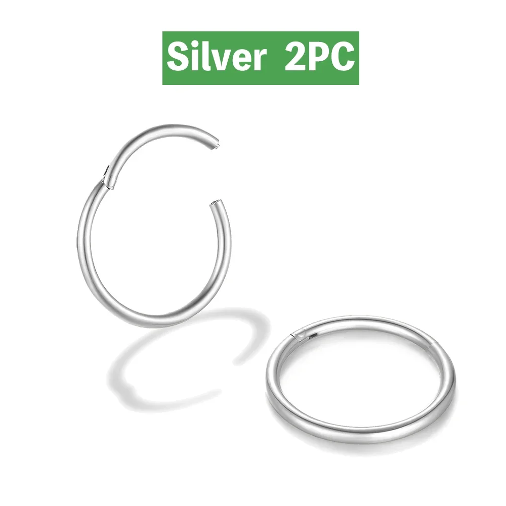 2/6PCS Naadloze 316L Rvs Neusring voor Mannen Goud Kleur Hoepel Oorbellen voor Vrouwen Septum Helix tragus Piercing Sieraden: Roze / Imitation Rhodium Plated