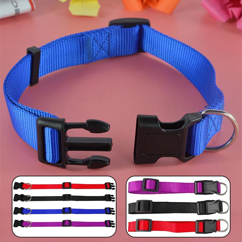 Pet Adjustable nylon dog collars Puppy Dogs Cat Neck Collar Solid Color Chihuahua Puppy nylon Collars