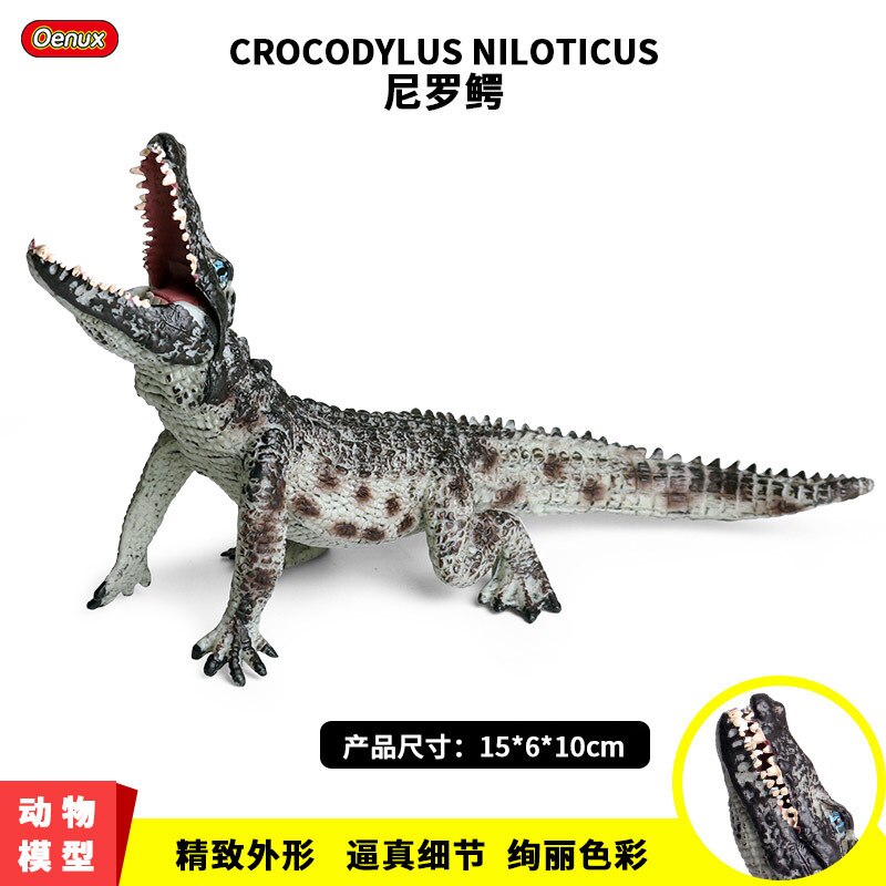 15*6*10cm barn leker nile krokodille alligator alligator amfibie dukke solid simulering vill dyr krokodille modell