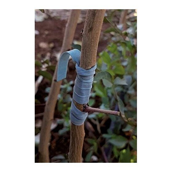 Greffage caoutchouc 240x6mm. FLEXIBAND 250 gr.