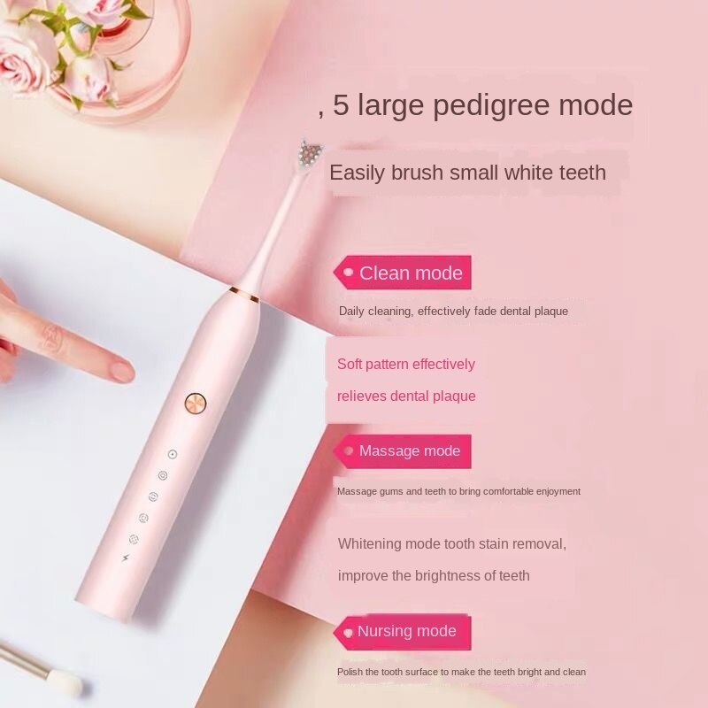 Sonic Electric Toothbrush Adult Timer Brush USB Charger Rechargeable Tooth Brushes Battery model/Replacement Heads Set