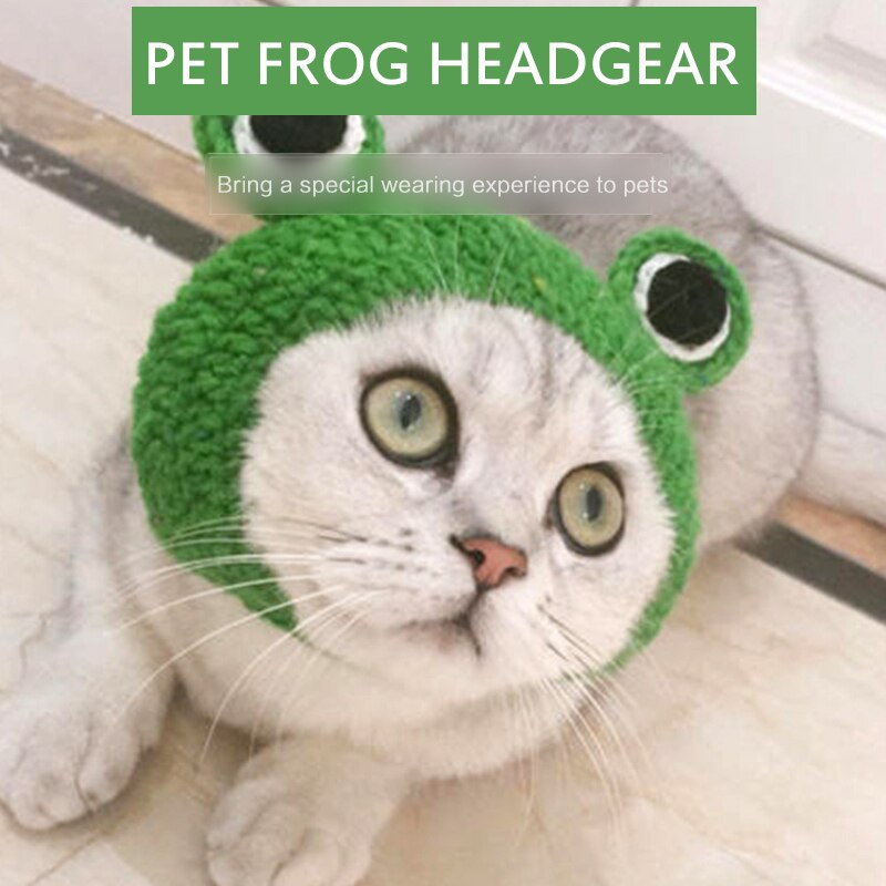 Gorros de lana de punto con dibujos animados para gato, cachorro, gato, Rana, cabeza de disfraz, engranaje, forma de rana, gorro de gato para invierno, accesorios para disfraz de Mascota