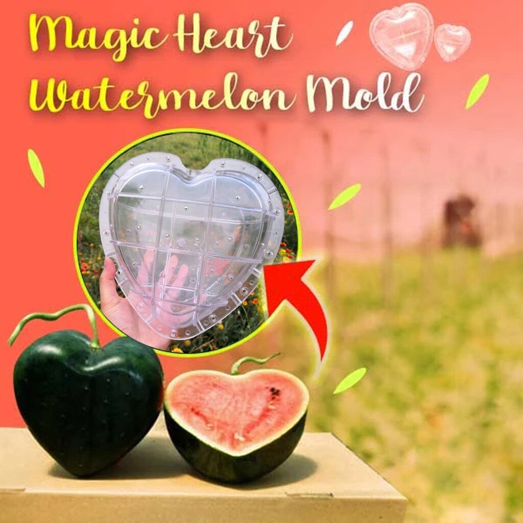 Garden Fruit Styling Mold heart shaped Watermelon growth molds Styling Die Heart Shaped Watermelon Mould Fruit Tree#0703G30