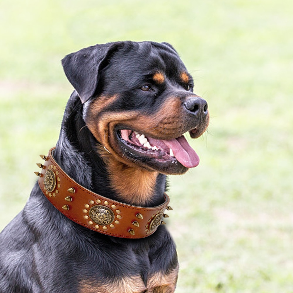 Cool kæledyr hundehalsbånd læderhalsbånd justerbar spiked besat stor hundehalsbånd til mellemstore hunde pitbull  k9 correa perro