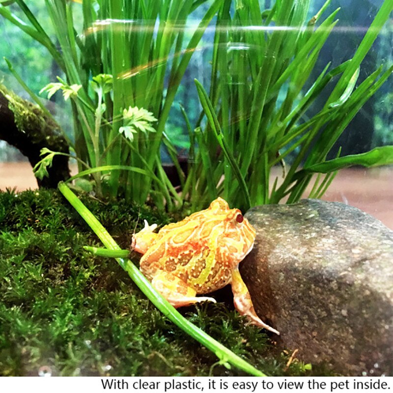 Reptiles Feeding Box Pet Terrarium Feeding Tank Transparent Acrylic Reptile Breeding CageBox Spider Scorpion Incubation LED Lamp